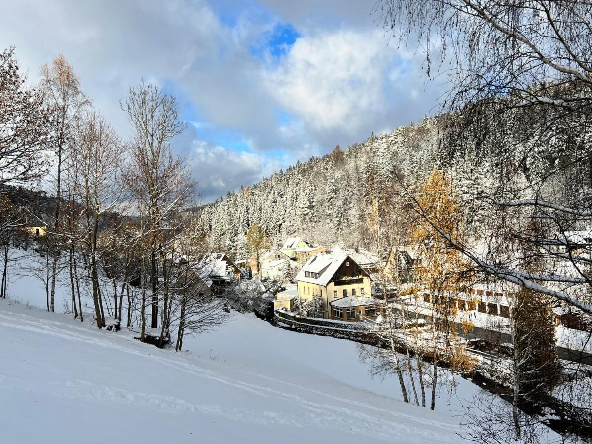 Urige Berghuette Mit Kamin Und Sauna Im Erzgebirge Nahe Schwarzwassertal ポーバースハウ エクステリア 写真