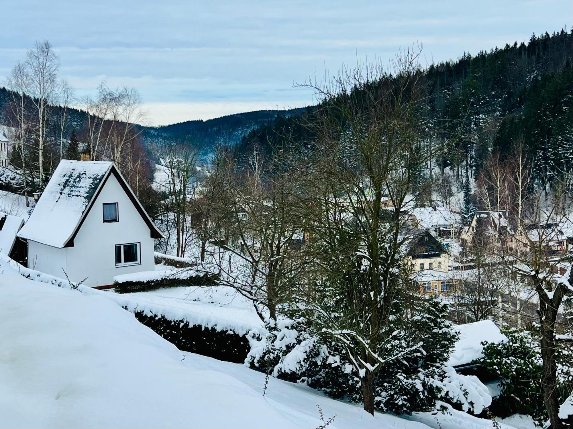 Urige Berghuette Mit Kamin Und Sauna Im Erzgebirge Nahe Schwarzwassertal ポーバースハウ エクステリア 写真